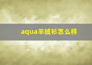 aqua羊绒衫怎么样