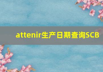 attenir生产日期查询SCB