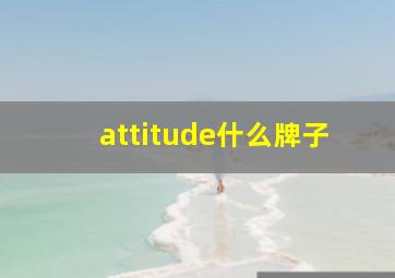 attitude什么牌子