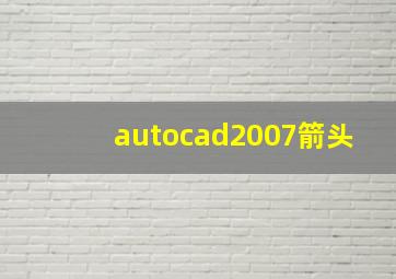 autocad2007箭头