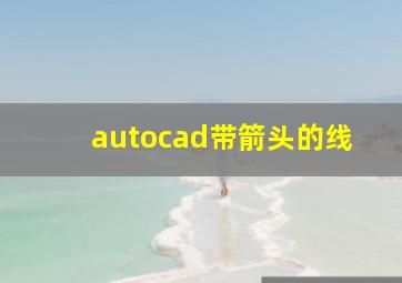 autocad带箭头的线