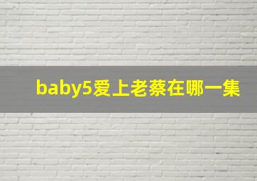 baby5爱上老蔡在哪一集