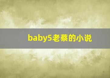 baby5老蔡的小说