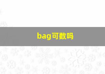 bag可数吗