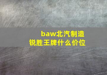 baw北汽制造锐胜王牌什么价位