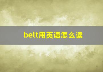 belt用英语怎么读