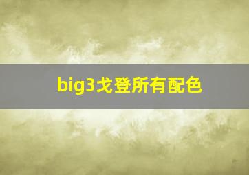 big3戈登所有配色