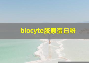 biocyte胶原蛋白粉