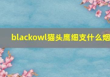 blackowl猫头鹰细支什么烟