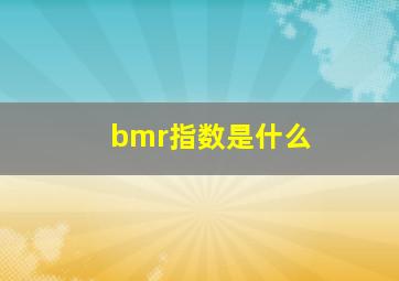 bmr指数是什么