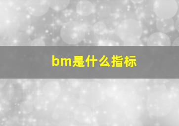 bm是什么指标