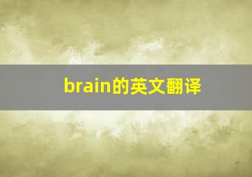 brain的英文翻译