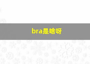 bra是啥呀