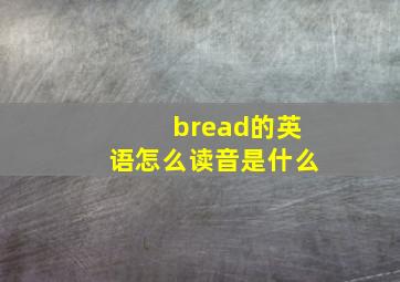 bread的英语怎么读音是什么