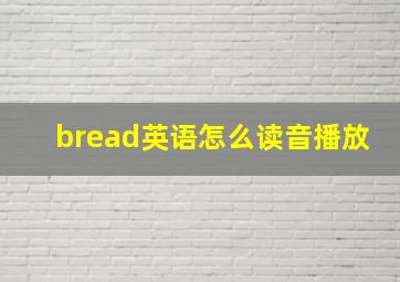 bread英语怎么读音播放