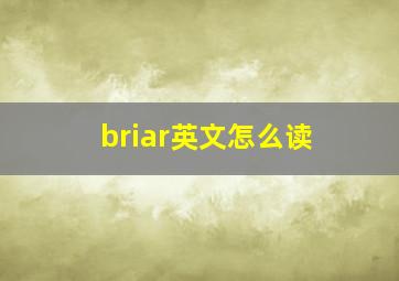 briar英文怎么读