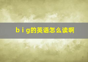 bⅰg的英语怎么读啊