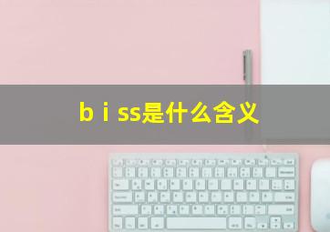 bⅰss是什么含义