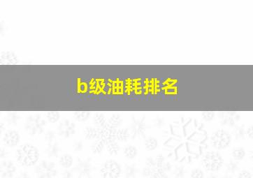 b级油耗排名