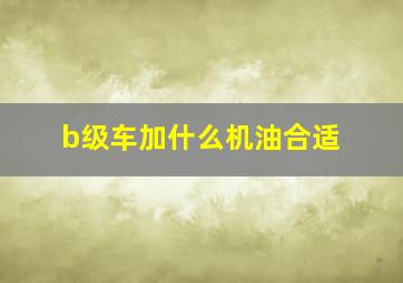 b级车加什么机油合适