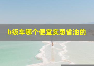 b级车哪个便宜实惠省油的