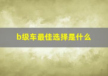 b级车最佳选择是什么