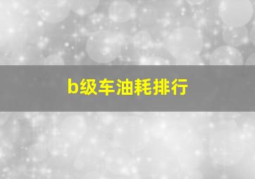 b级车油耗排行