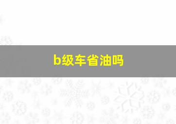 b级车省油吗