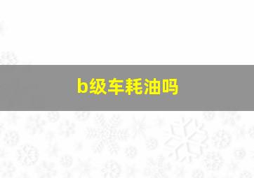 b级车耗油吗