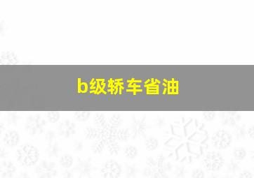 b级轿车省油