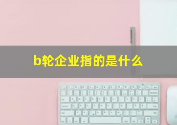 b轮企业指的是什么