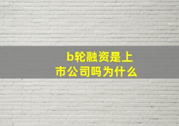 b轮融资是上市公司吗为什么