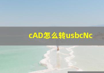 cAD怎么转usbcNc