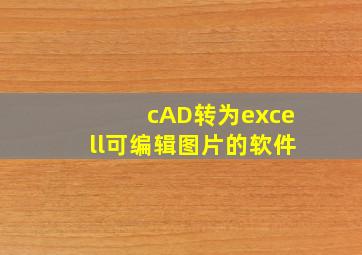 cAD转为excell可编辑图片的软件