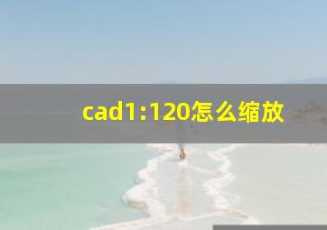 cad1:120怎么缩放