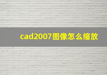 cad2007图像怎么缩放