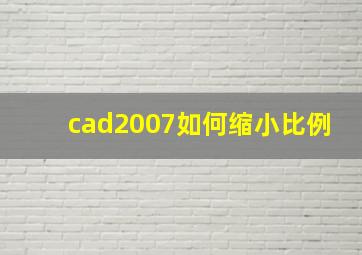 cad2007如何缩小比例