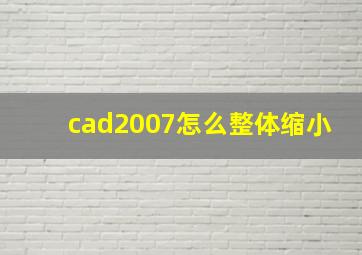 cad2007怎么整体缩小