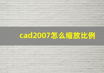 cad2007怎么缩放比例