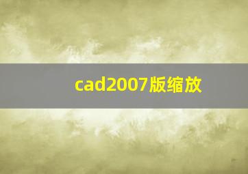 cad2007版缩放