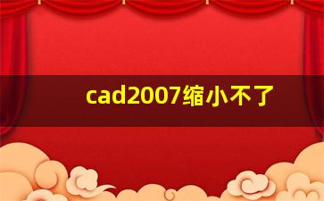 cad2007缩小不了