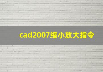 cad2007缩小放大指令