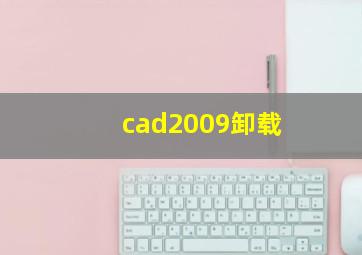 cad2009卸载