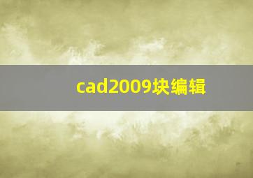 cad2009块编辑