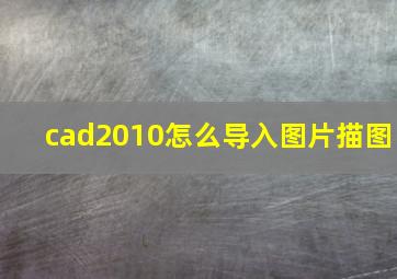 cad2010怎么导入图片描图