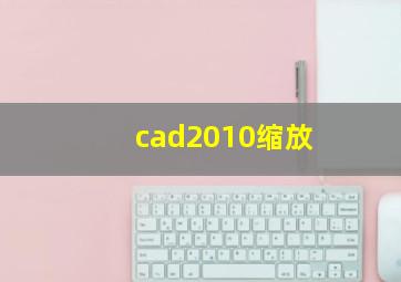 cad2010缩放