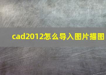 cad2012怎么导入图片描图