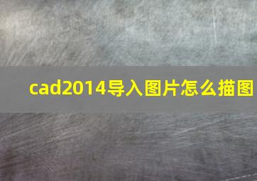 cad2014导入图片怎么描图