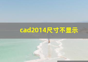 cad2014尺寸不显示