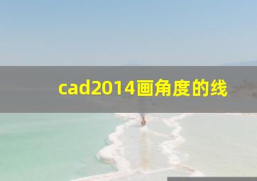 cad2014画角度的线